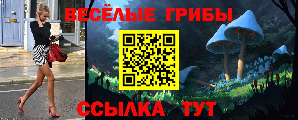 Фрязино  Псилоцибиновые грибы Psilocybine cubensis  Вход с VPN 