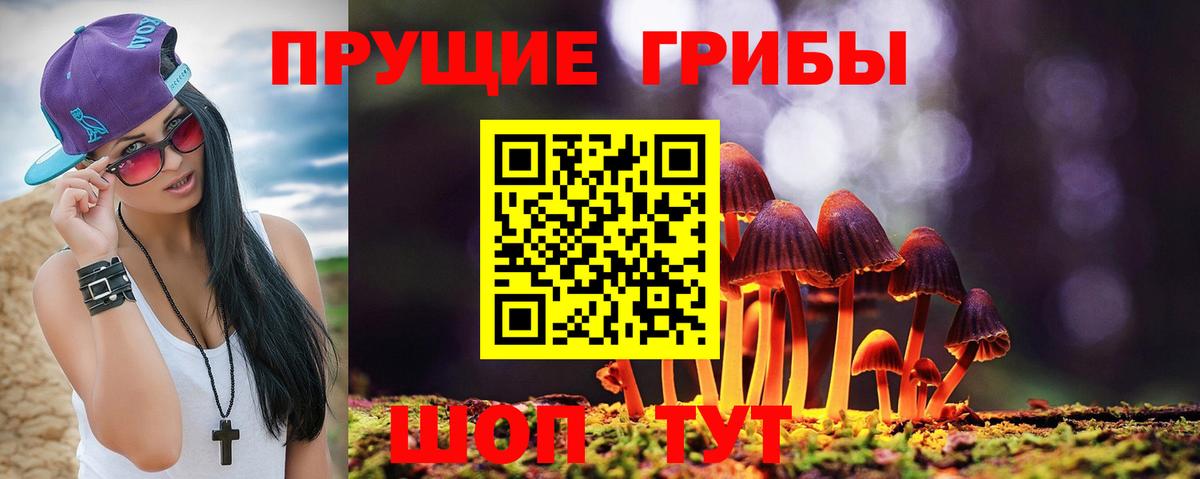 Псилоцибиновые грибы мицелий Фрязино
